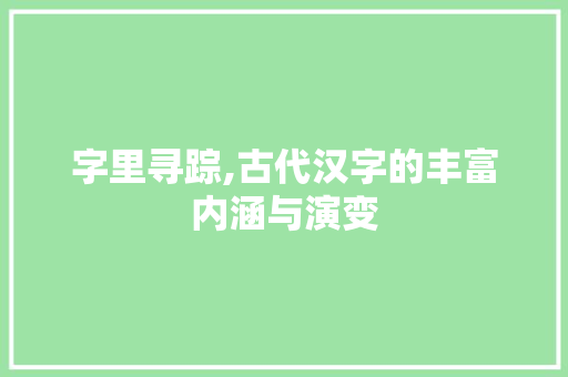 字里寻踪,古代汉字的丰富内涵与演变