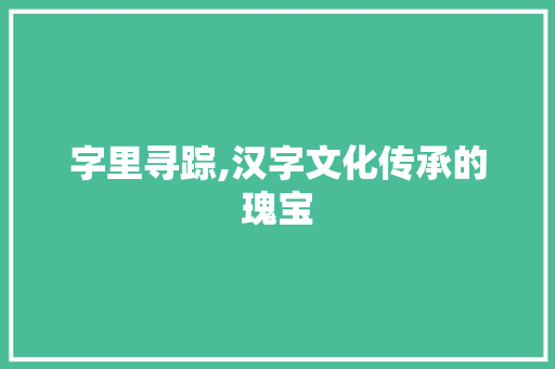 字里寻踪,汉字文化传承的瑰宝