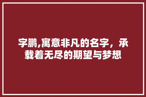 字鹏,寓意非凡的名字，承载着无尽的期望与梦想