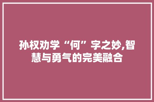 孙权劝学“何”字之妙,智慧与勇气的完美融合