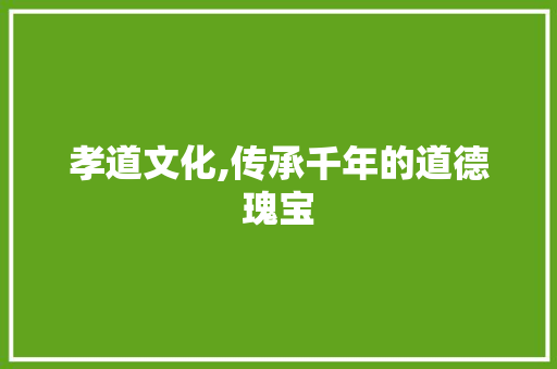 孝道文化,传承千年的道德瑰宝