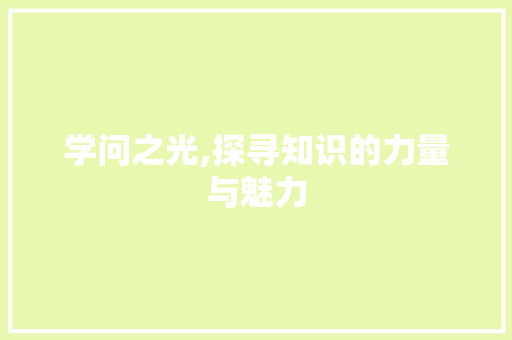 学问之光,探寻知识的力量与魅力