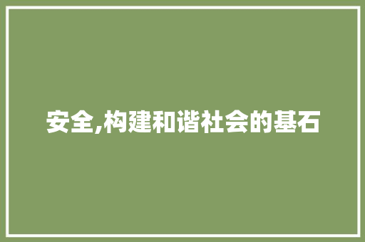 安全,构建和谐社会的基石