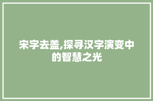 宋字去盖,探寻汉字演变中的智慧之光