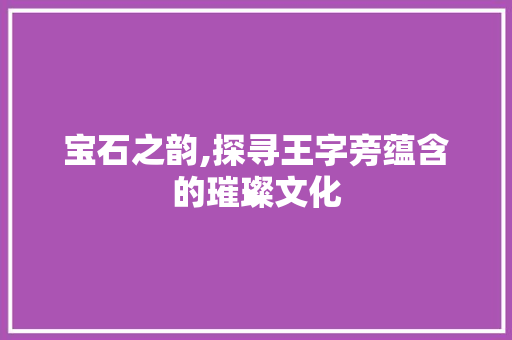 宝石之韵,探寻王字旁蕴含的璀璨文化