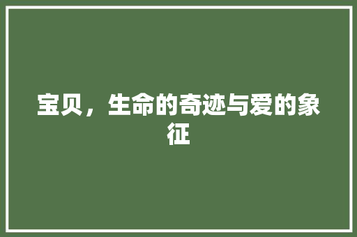 宝贝，生命的奇迹与爱的象征
