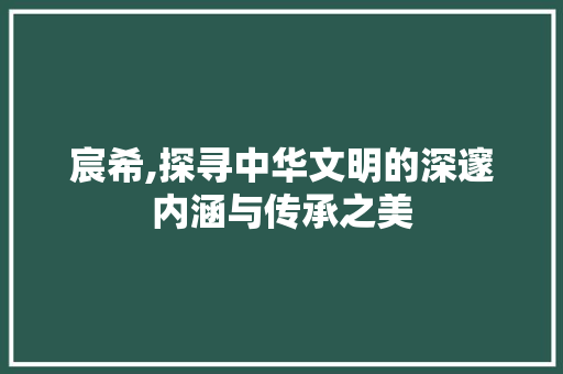 宸希,探寻中华文明的深邃内涵与传承之美