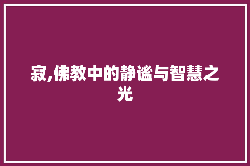 寂,佛教中的静谧与智慧之光