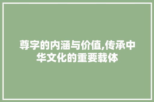尊字的内涵与价值,传承中华文化的重要载体
