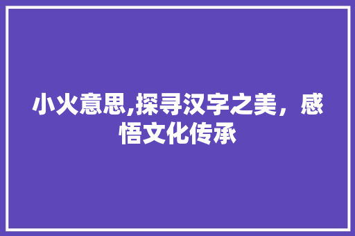 小火意思,探寻汉字之美，感悟文化传承