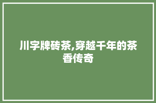 川字牌砖茶,穿越千年的茶香传奇