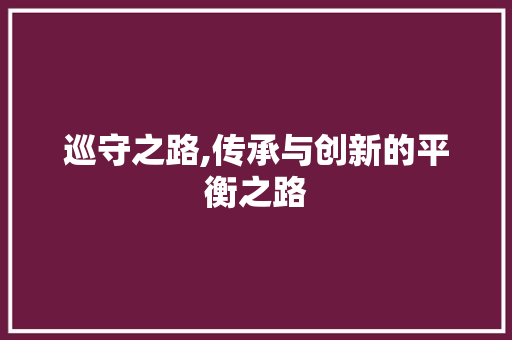 巡守之路,传承与创新的平衡之路