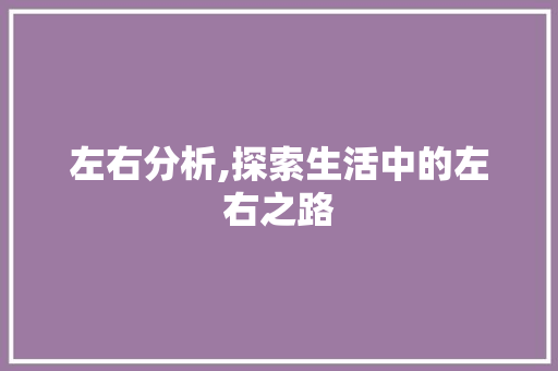 左右分析,探索生活中的左右之路