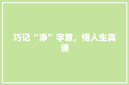 巧记“净”字意，悟人生真谛