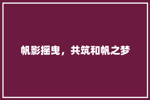 帆影摇曳，共筑和帆之梦