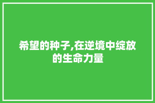 希望的种子,在逆境中绽放的生命力量