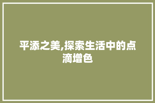 平添之美,探索生活中的点滴增色