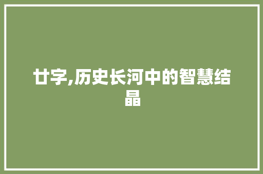 廿字,历史长河中的智慧结晶