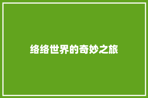 络络世界的奇妙之旅