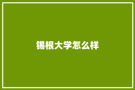 锡根大学怎么样