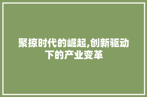 聚掠时代的崛起,创新驱动下的产业变革
