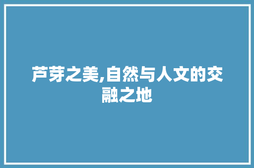 芦芽之美,自然与人文的交融之地