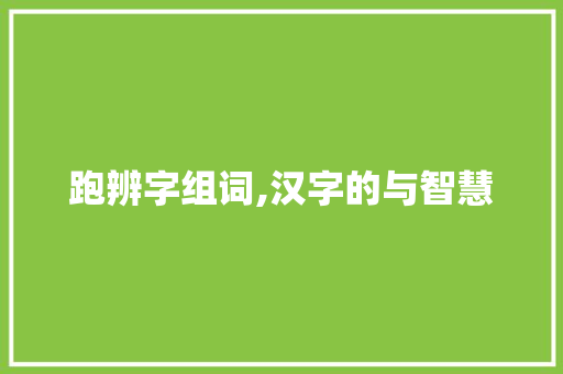跑辨字组词,汉字的与智慧