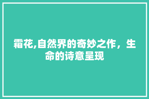 霜花,自然界的奇妙之作，生命的诗意呈现