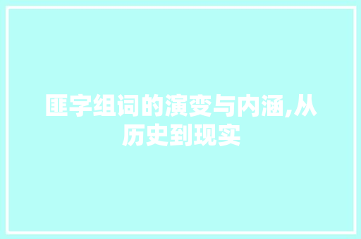匪字组词的演变与内涵,从历史到现实