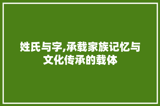 姓氏与字,承载家族记忆与文化传承的载体