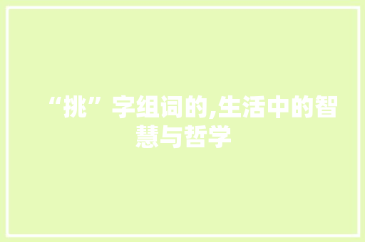 “挑”字组词的,生活中的智慧与哲学