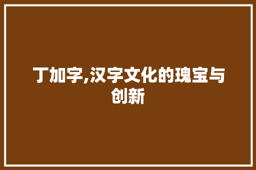 丁加字,汉字文化的瑰宝与创新
