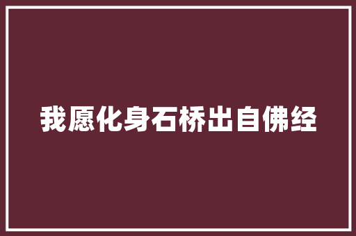 丛子字组词的,汉字文化中的智慧结晶