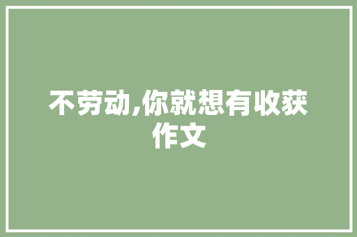 丰字组词的,从丰富内涵到文化传承