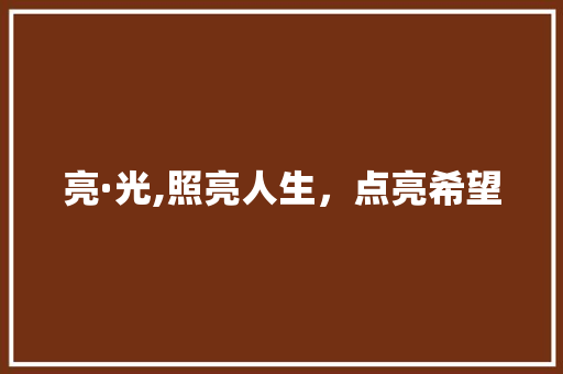 亮·光,照亮人生，点亮希望