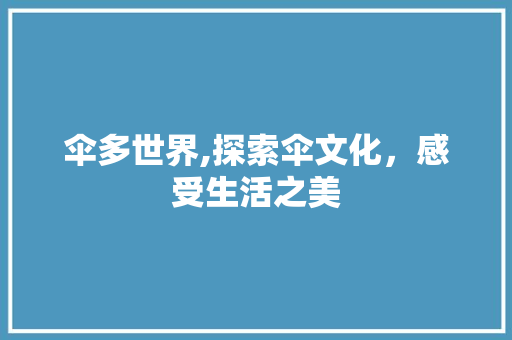 伞多世界,探索伞文化，感受生活之美