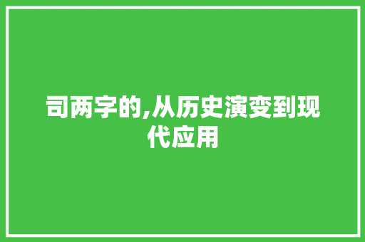 司两字的,从历史演变到现代应用
