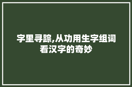 字里寻踪,从功用生字组词看汉字的奇妙