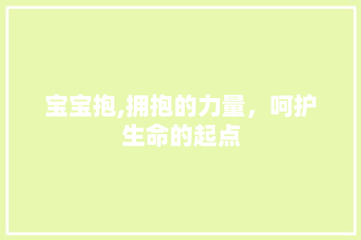 宝宝抱,拥抱的力量，呵护生命的起点