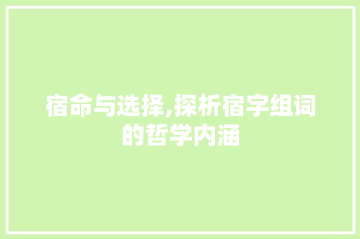 宿命与选择,探析宿字组词的哲学内涵