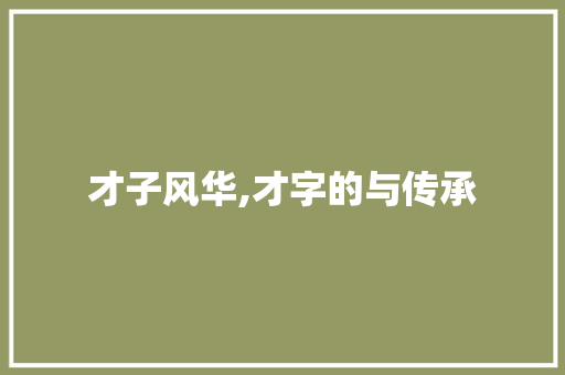 才子风华,才字的与传承