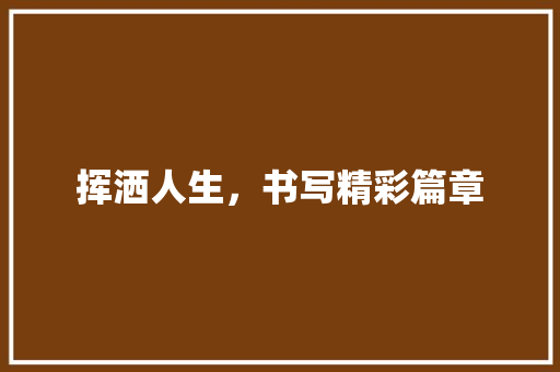 挥洒人生，书写精彩篇章