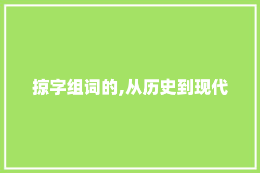 掠字组词的,从历史到现代
