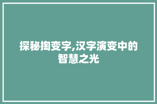 探秘掏变字,汉字演变中的智慧之光