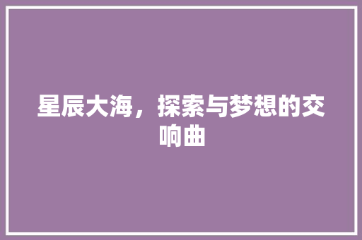 星辰大海，探索与梦想的交响曲