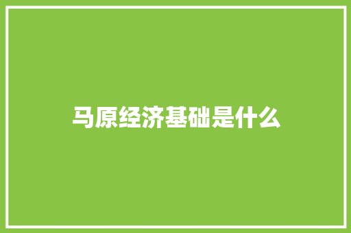 马原经济基础是什么