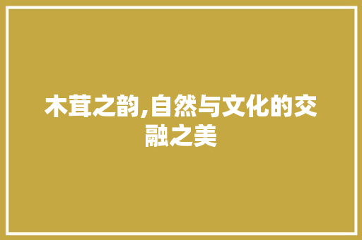 木茸之韵,自然与文化的交融之美