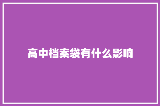 高中档案袋有什么影响