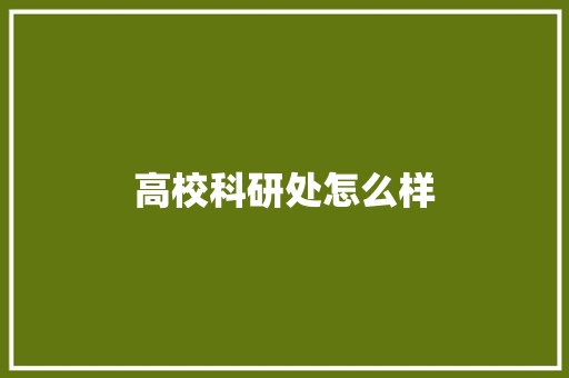 高校科研处怎么样