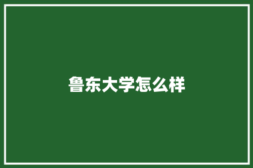 鲁东大学怎么样